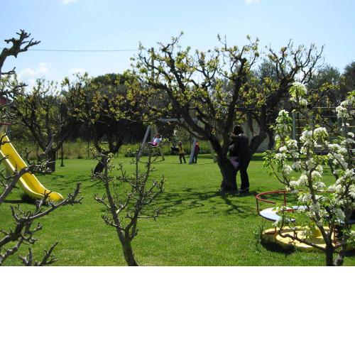Agriturismo Arangèa