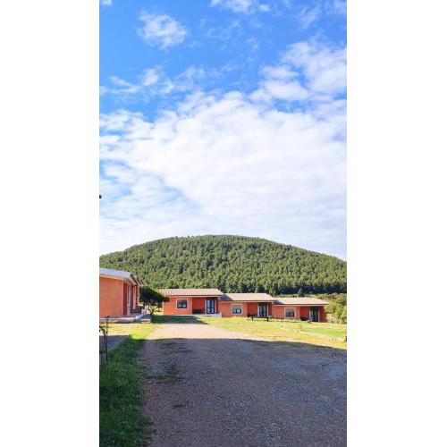 Agriturismo Arena Del Sol