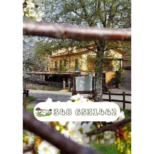 Agriturismo Aria Fina