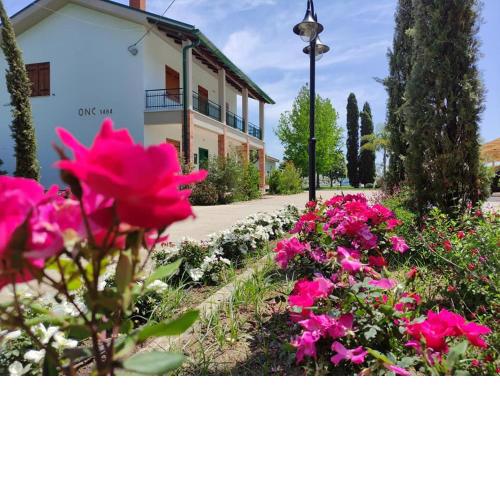 Agriturismo Ariston ONC 1484