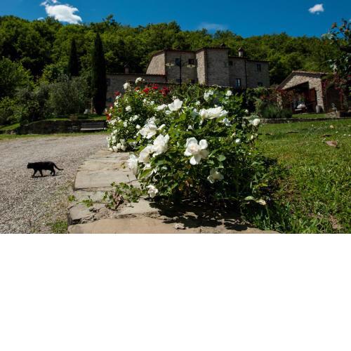 Agriturismo Azienda Agricola Il Pozzo
