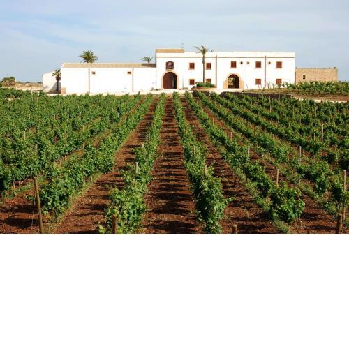Agriturismo Baglio Donnafranca Wine Resort
