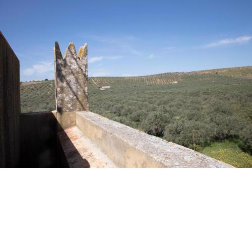Agriturismo Baglio Vecchio