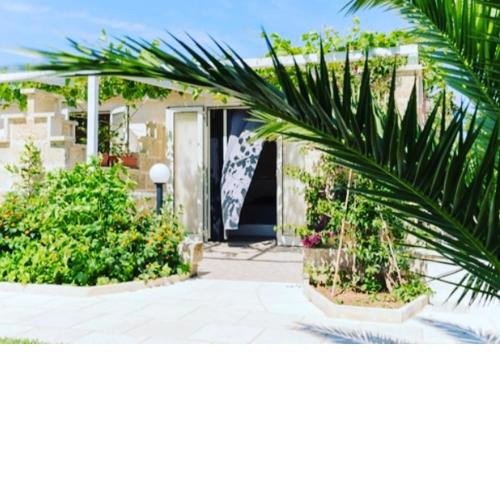 Agriturismo B&B Li Massari
