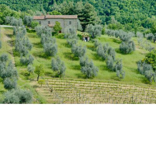 Agriturismo Bindozzino