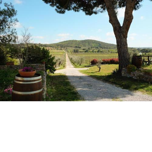 Agriturismo biologico Bulichella