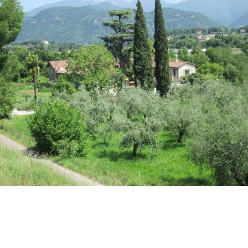 Agriturismo Bonù Gabriele