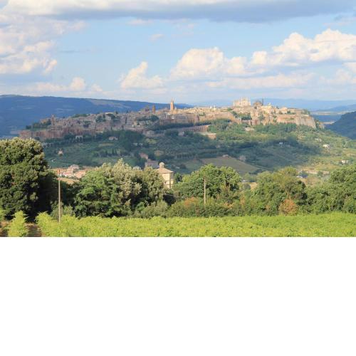 Agriturismo Borgo Pirolino