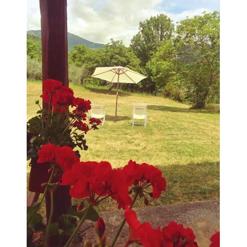 Agriturismo Botro