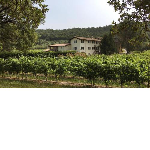 Agriturismo Ca' Castellani