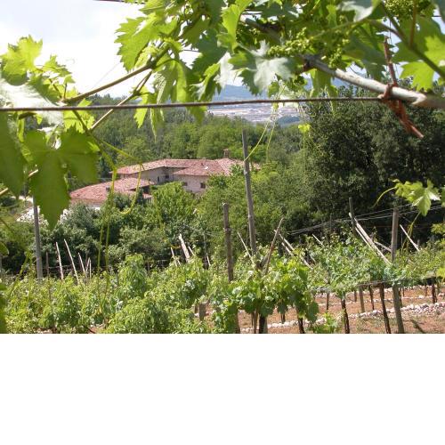 Agriturismo Ca' Verde