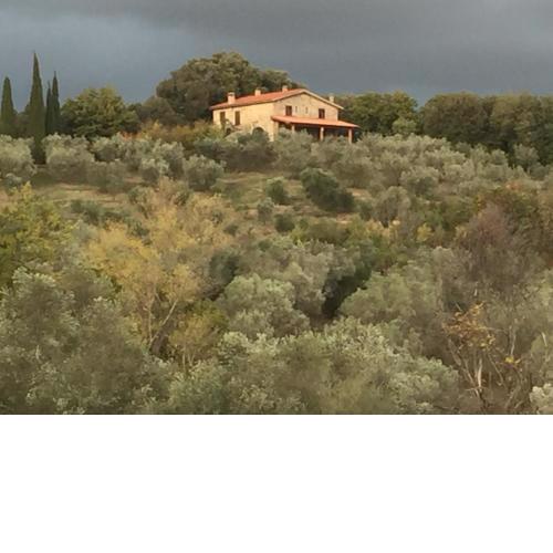 Agriturismo Campo al Crognolo