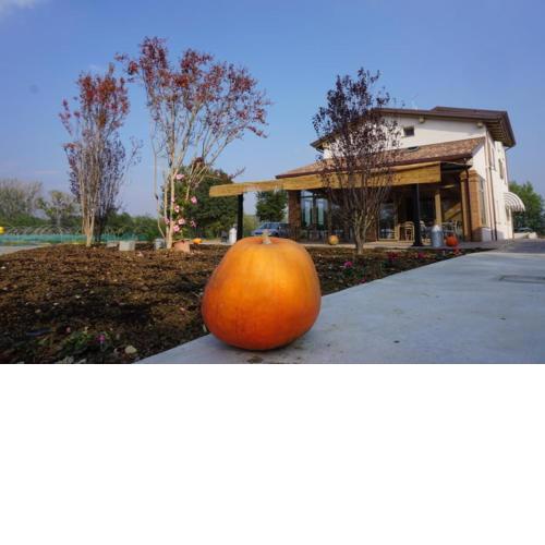 agriturismo campogrande