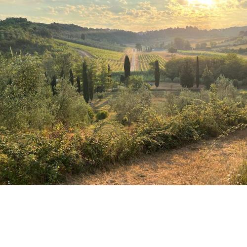 Agriturismo Campolungo