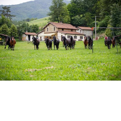 Agriturismo Carovane