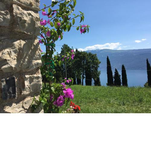 Agriturismo Casa del Castagneto