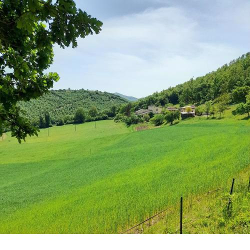 Agriturismo Casale Sant'Antonio