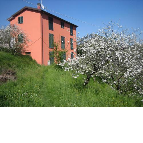 Agriturismo Casalino