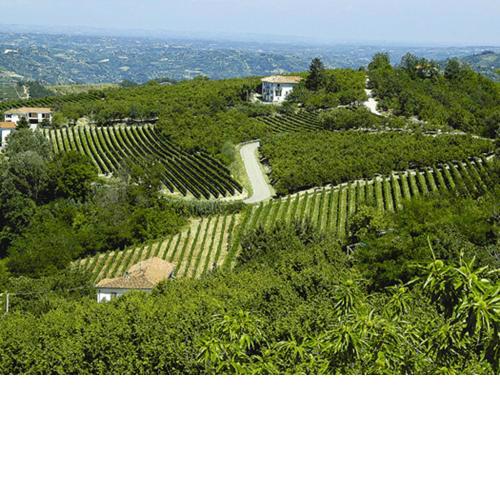 Agriturismo Cascina Anrì