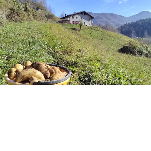 Agriturismo Cascina Cornella