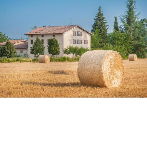 Agriturismo Casella Del Piano