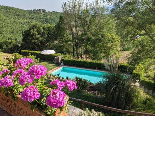 Agriturismo Casentino - Fattoria Ventrina