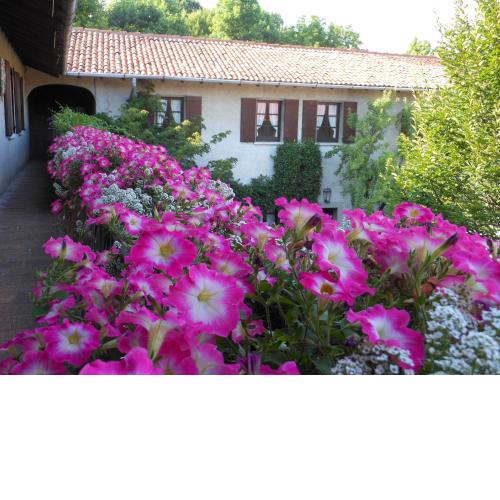 Agriturismo Cassinazza