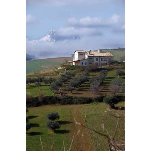 Agriturismo Cignale