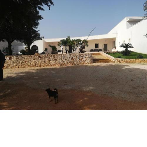 Agriturismo Citrignano