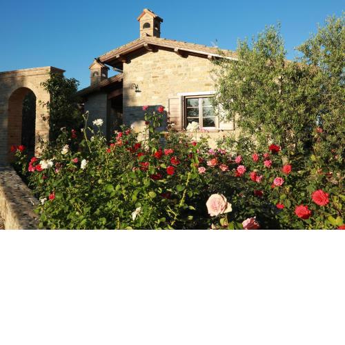 Agriturismo Colle Mura