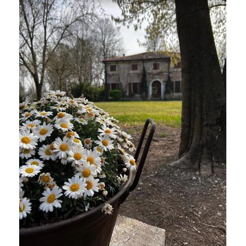 Agriturismo Corte San Girolamo