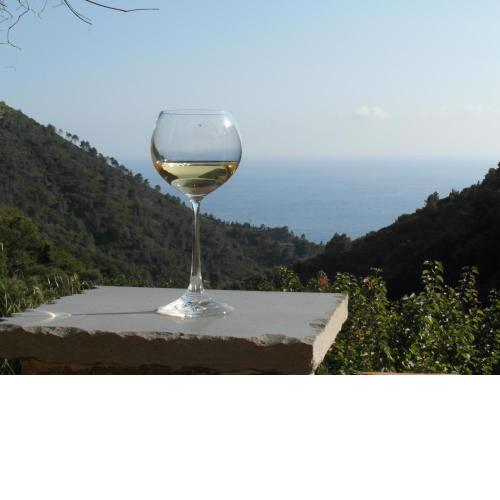 Agriturismo Costa di Campo
