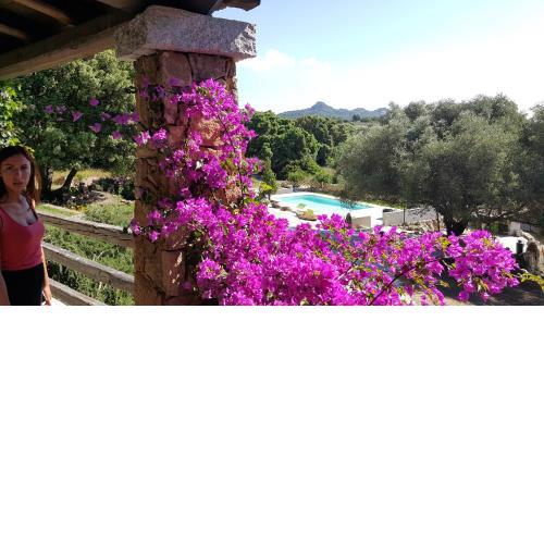 Agriturismo Desole