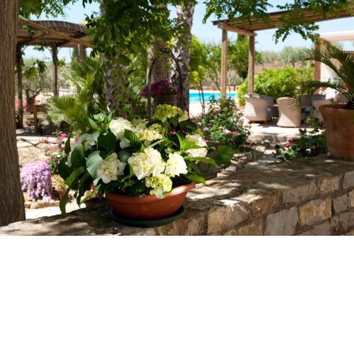 Agriturismo Don Carlo