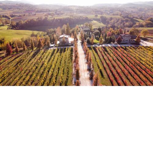 Agriturismo e Acetaia la Vedetta