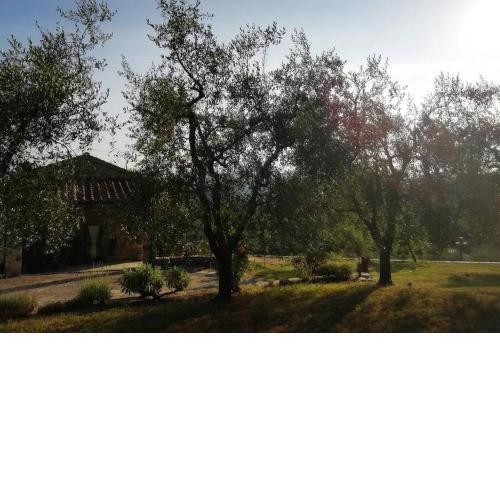 Agriturismo Fattoio alle Ripe - Fienile