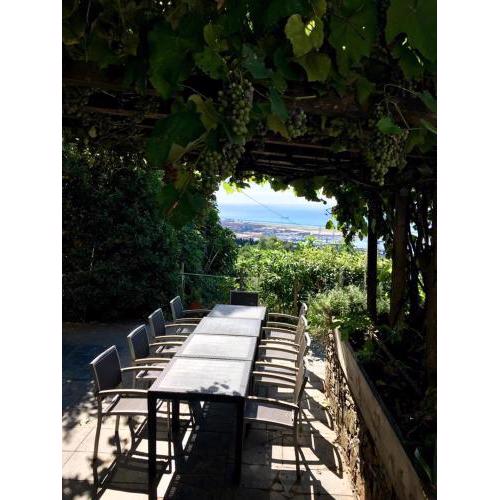 Agriturismo Fattoria Montecontessa
