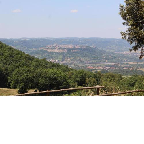 Agriturismo Fattoria Poggio Boalaio