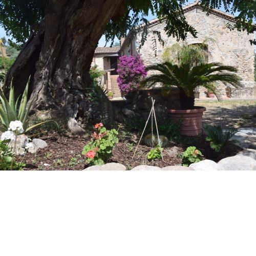 Agriturismo Fellino