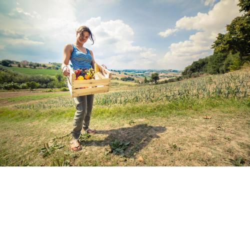 Agriturismo Fonte Carella