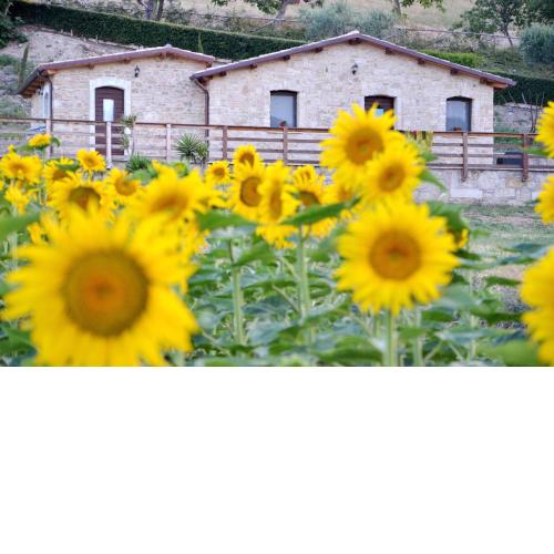 Agriturismo Fontefredda