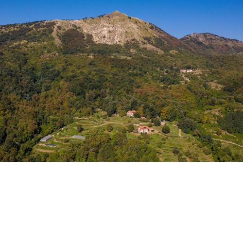 Agriturismo Giandriale