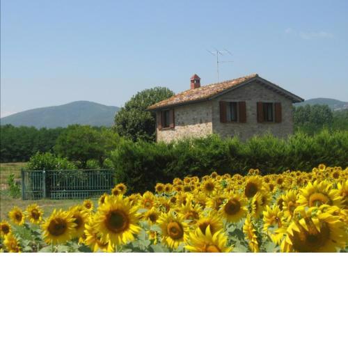 Agriturismo Gli Arrighi