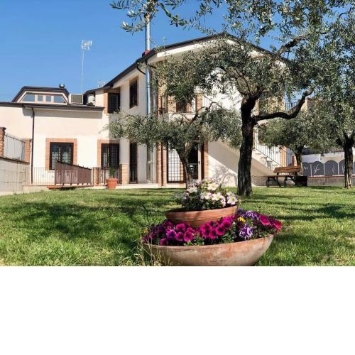 Agriturismo Gusto Nocciola