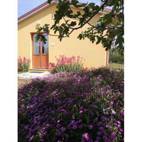Agriturismo I Ciliegi Appartamento Ginestra