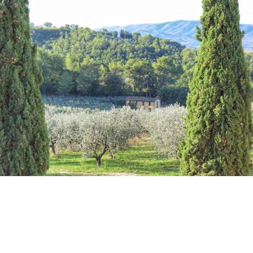 Agriturismo I Getsemani