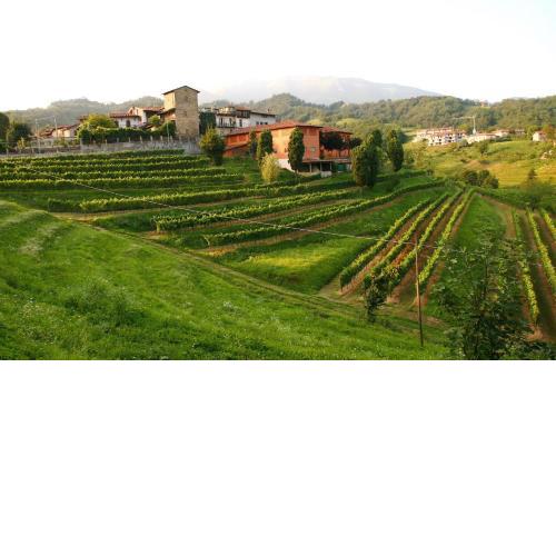 Agriturismo Il Belvedere