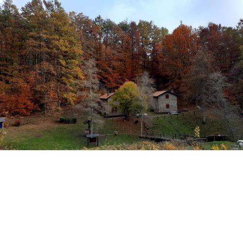 Agriturismo il canale