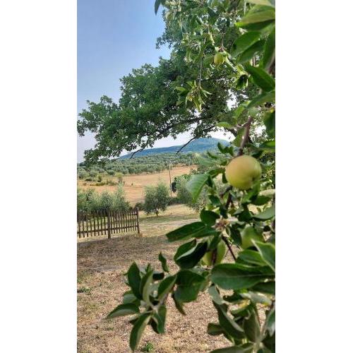 Agriturismo il Cantiniere