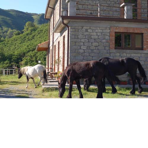 Agriturismo Il Capitano